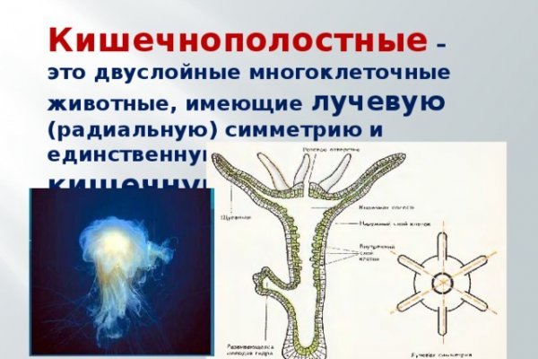Кракен ссылка онлайн