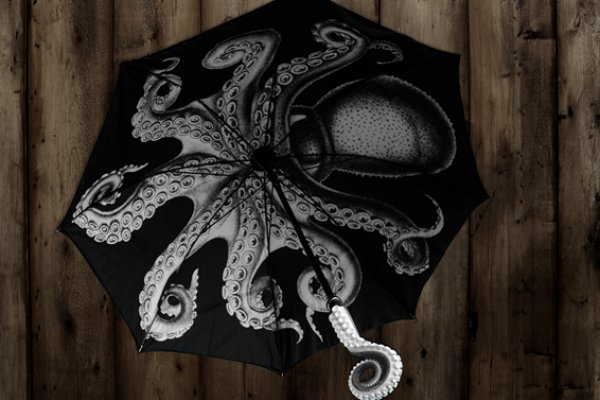 Kraken ссылка krakens13 at