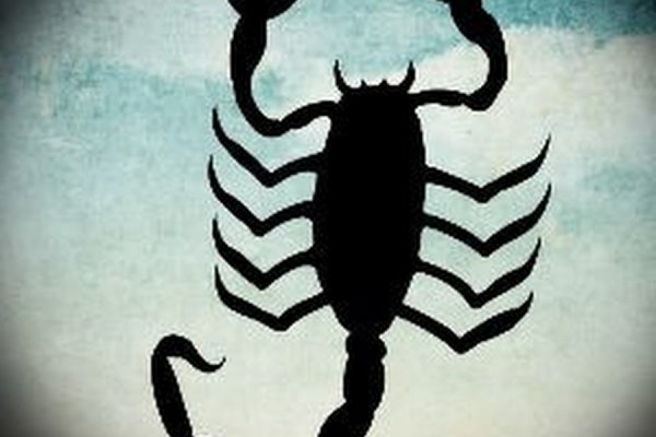 Kraken это современный маркетплейс