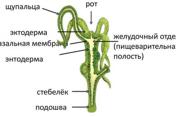 Кракен маркет даркнет только через торг