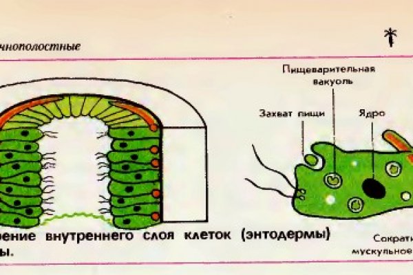 Кракен магазин наркоты