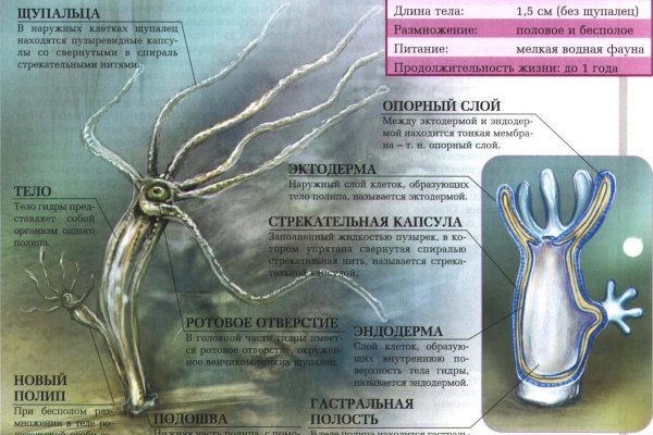 Сайт кракен что это такое
