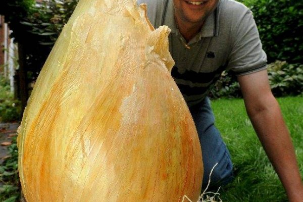 Актуальное зеркало на кракен
