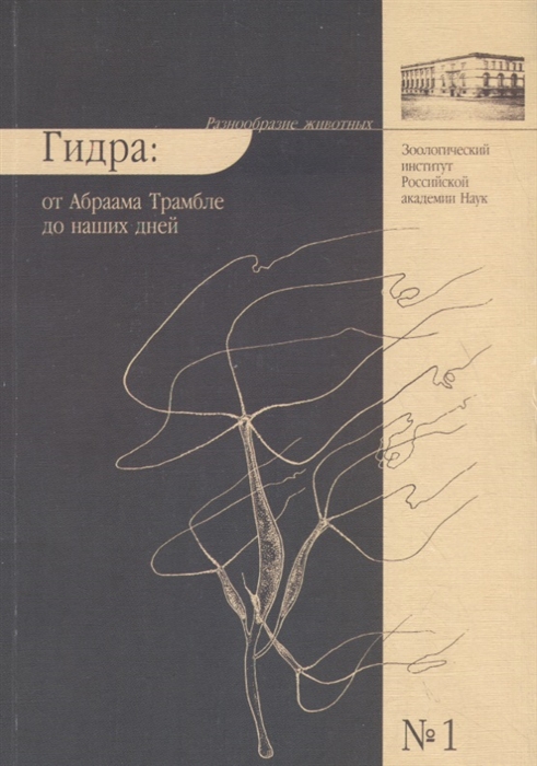 Сайты типа гидры