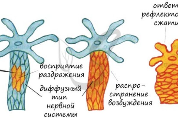 Kra38cc