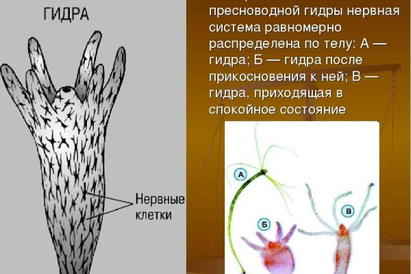 Кракен маркер даркнет