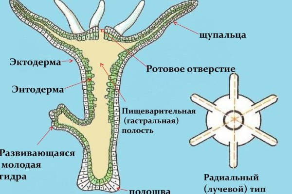 Kraken рабочая ссылка 2025