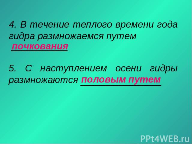 Официальный сайт даркнет